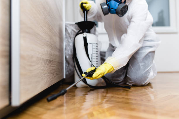 Best Emergency Pest Control  in Woodstock, VA