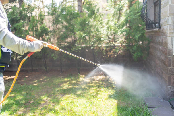 Best Cockroach Control Services  in Woodstock, VA