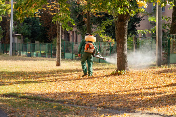 Best Rodent Control Near Me  in Woodstock, VA